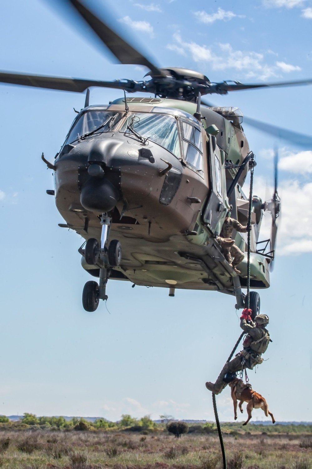 Fast Rope from NH-90 "Sarrio" of the III Maneuver Helicopter Battalion (BHELMA III), of a Special Operations operator with his assault dog. MOE-AVIET.