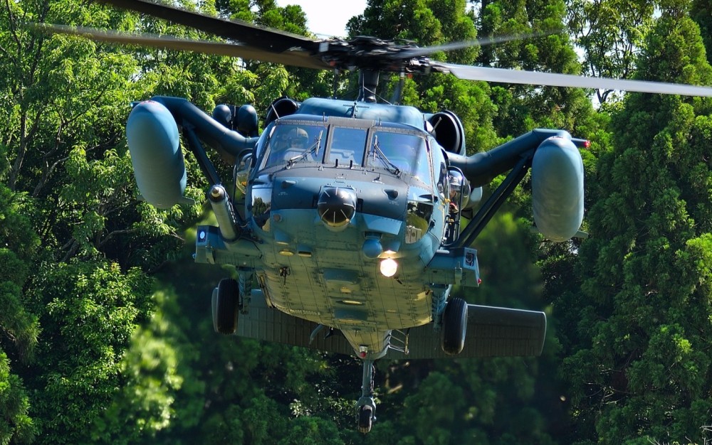 JASDF UH-60J Blackhawk took off from LZ surrounded by forest. In open-house of Nara Base, he demonstrated take-off and hoist operation.